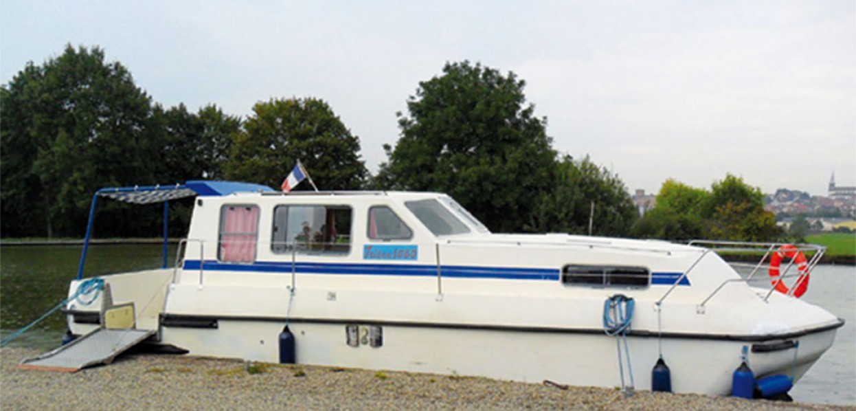 VIKING 800