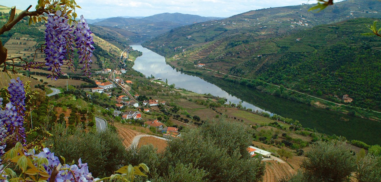 נהר הזהב של פורטוגל | גורדון טורס
