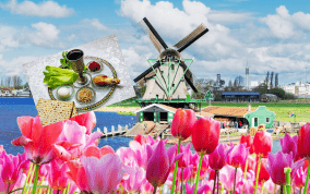  אביב פורח בהולנד ובלגיה - שיט חגיגי לפסח כולל ליל הסדר בספינה